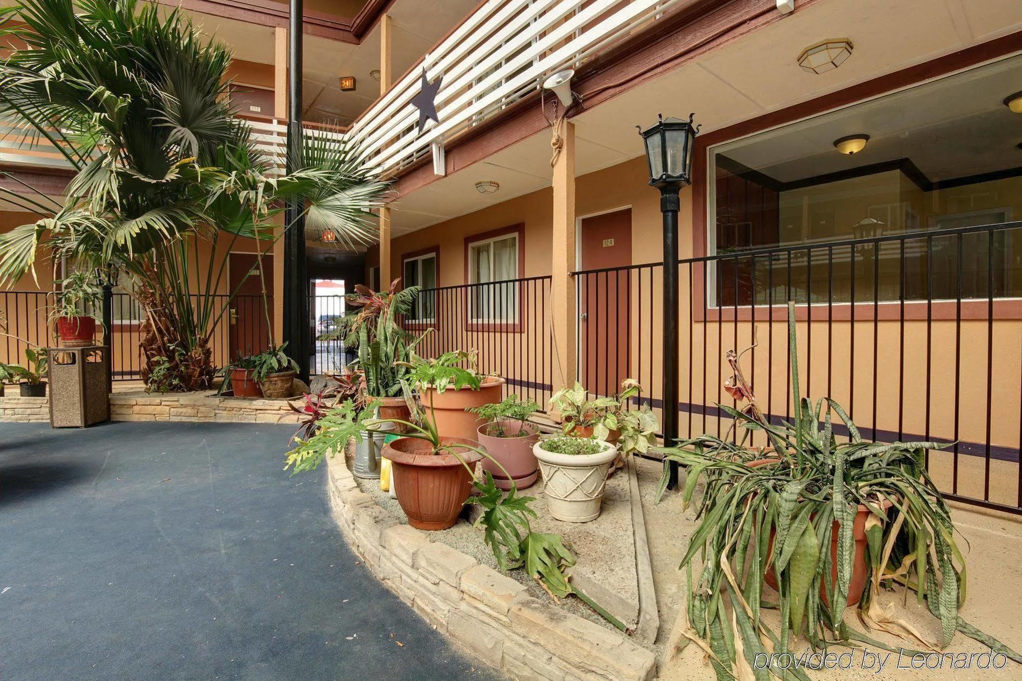 Budget Host Inn Arlington Bagian luar foto